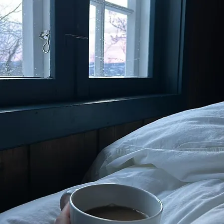 Charming Holiday home Hol (Buskerud)