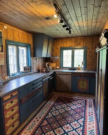 Feriehus Sjarmerende På Med 5 Soverom Geilo